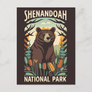 Shenandoah National Park skyline drive bear Postcard