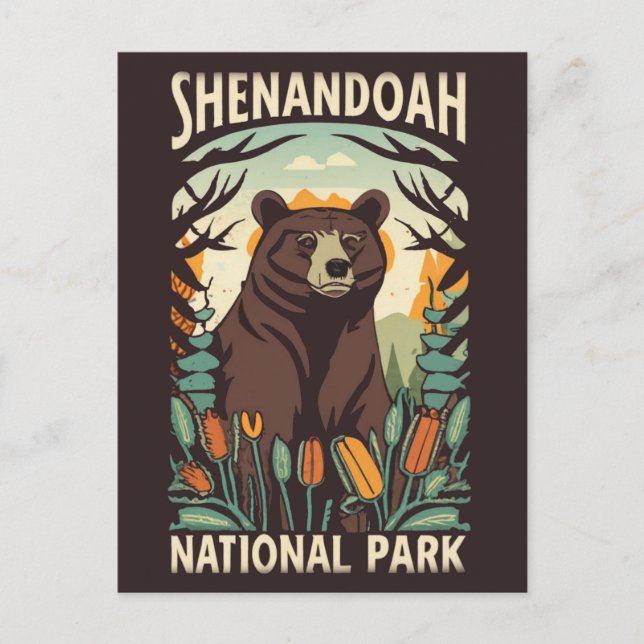 Shenandoah National Park skyline drive bear Postcard (Front)