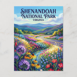 Shenandoah National Park Virginia Postcard
