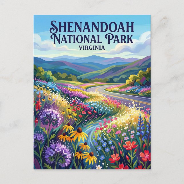 Shenandoah National Park Virginia Postcard (Front)