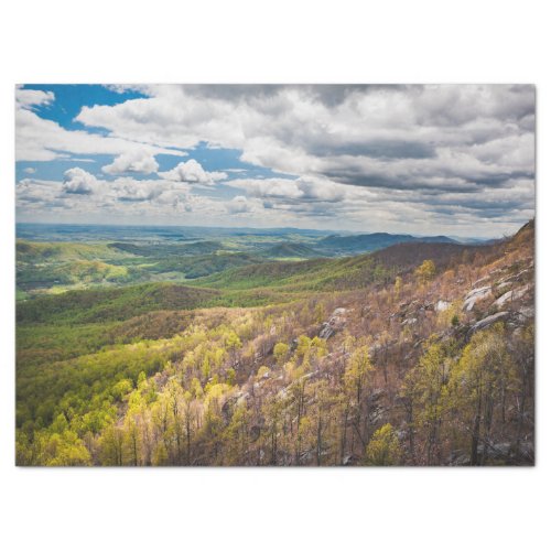 Shenandoah Valley Tissue Paper