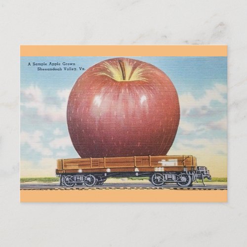 Shenandoah Valley Virginia Giant Apple Postcard
