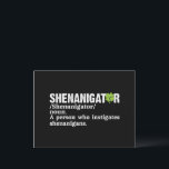 Shenanigator Definition St Patricks Day Holiday Postcard<br><div class="desc">Shenanigator Definition St Patricks Day</div>