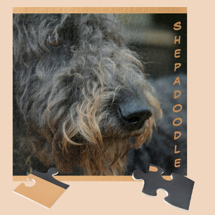 Shepadoodle Up Close and Personal Jigsaw Puzzle