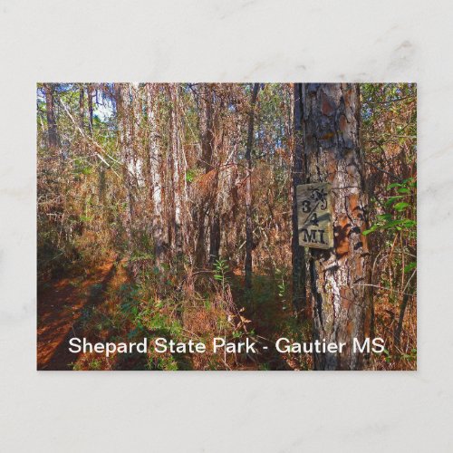 Shepard State Park Trail Sign Postcard