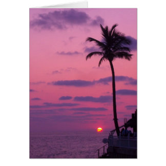 Shephards Sunset, Clearwater, Fl. Cards