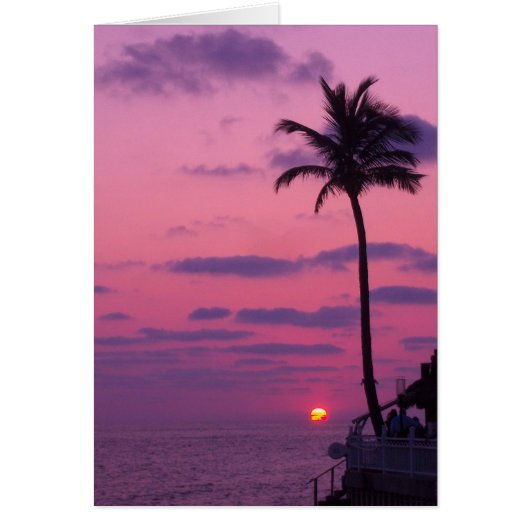 Shephards Sunset, Clearwater, Fl. Cards (Front)