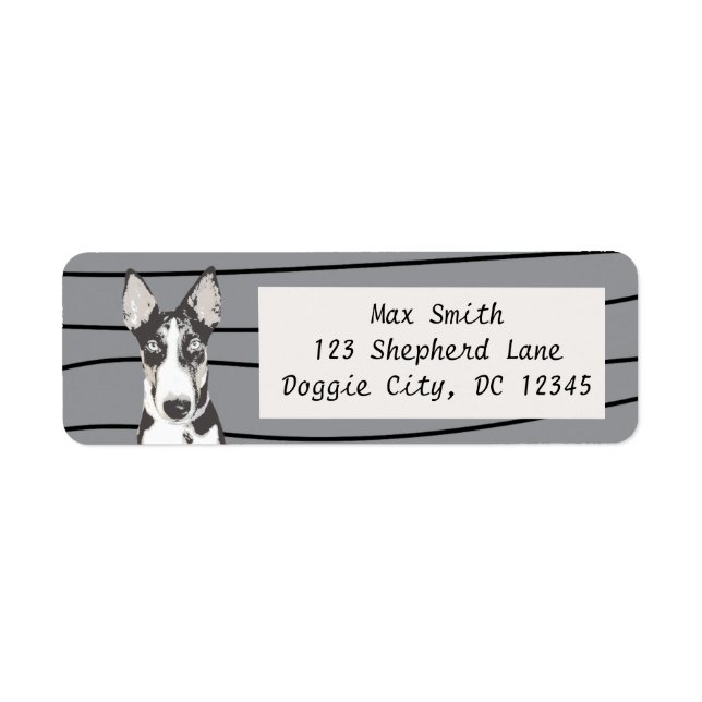 Shepherd Border Collie Label (Front)