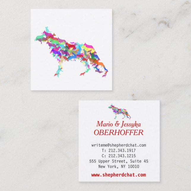 Shepherd Dog colorful  Square Business Card (Front/Back)