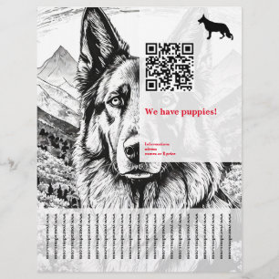 Shepherd Dog Flyer