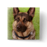 Shepherd Dog Square Pin