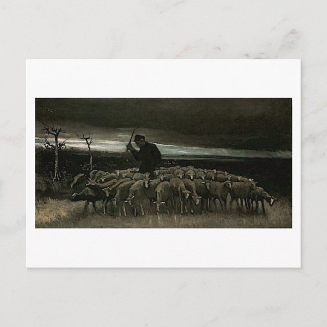 Shepherd, Flock of Sheep Van Gogh Fine Art Postcard (Front)