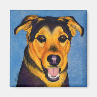 Shepherd Mix Dog Magnet - "Caesar"
