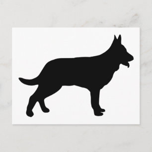 Shepherd Postcard