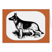 Shepherd Profile (Front Horizontal)