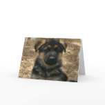 Shepherd Puppy  Greeting Card