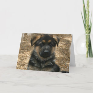 Shepherd Puppy  Greeting Card