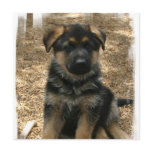 Shepherd Puppy Invitations