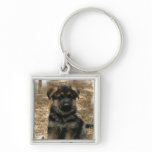 Shepherd Puppy Keychain