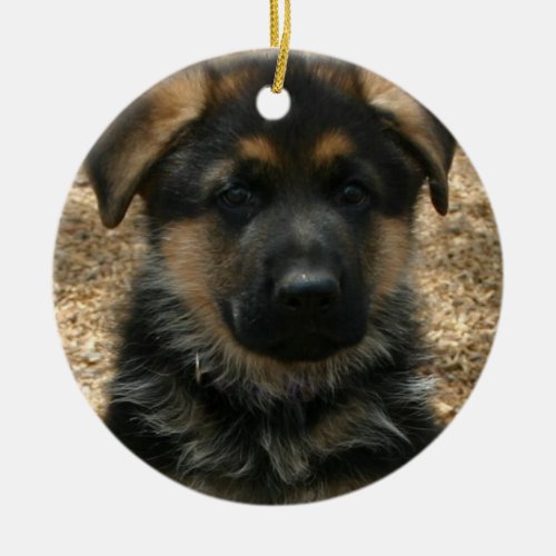 Shepherd Puppy  Ornament