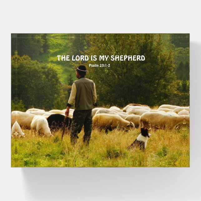 Shepherd Watching Over Sheep Flock Paperweight (Front)