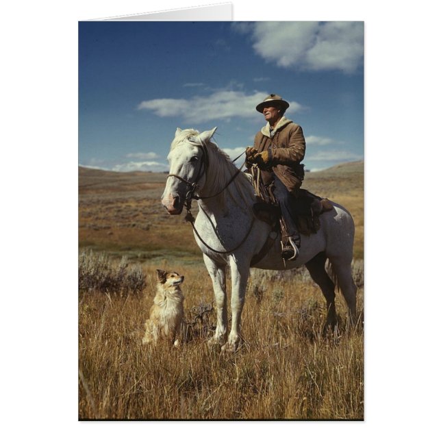 Shepherd with his horse and dog on Gravelly Range Cards (Front)