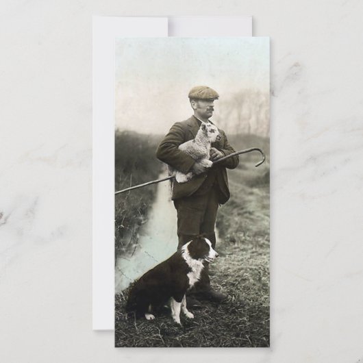 Shepherd With Lamb and Border Collie (Front)