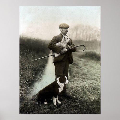 Shepherd With Lamb and Border ColliePoster Poster