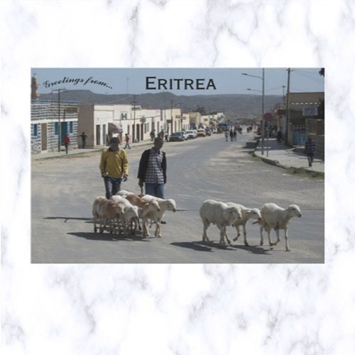 Shepherds and Their Flock in Dekemhare Eritrea Postcard