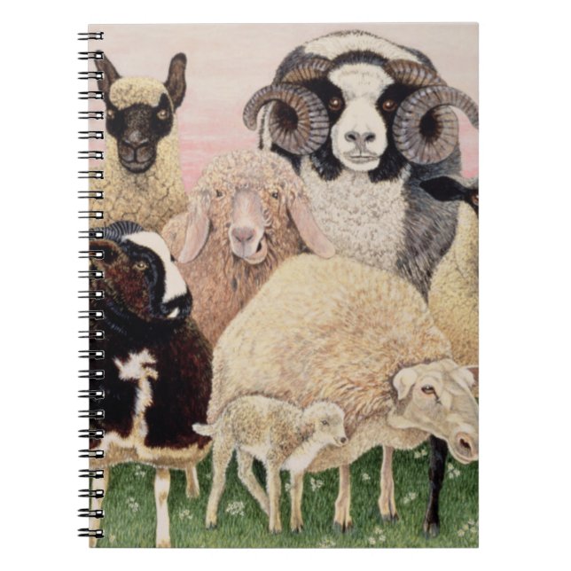 Shepherds Delight Notebook (Front)
