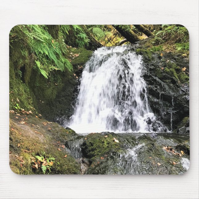 Shepperd's Dell Falls, Oregon Mouse Pad (Front)