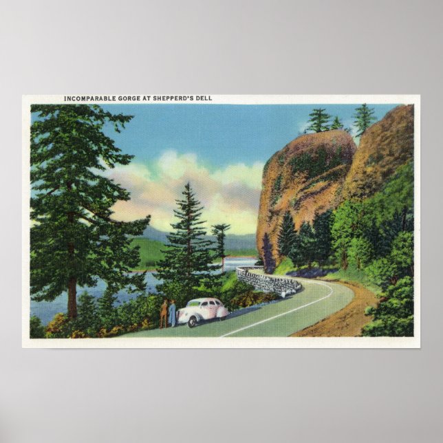Shepperd's Dell View of Incomparable Gorge Poster (Front)