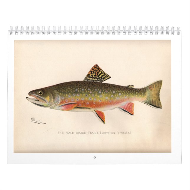 Sherman Denton Trout Calendar 2014 (Cover)