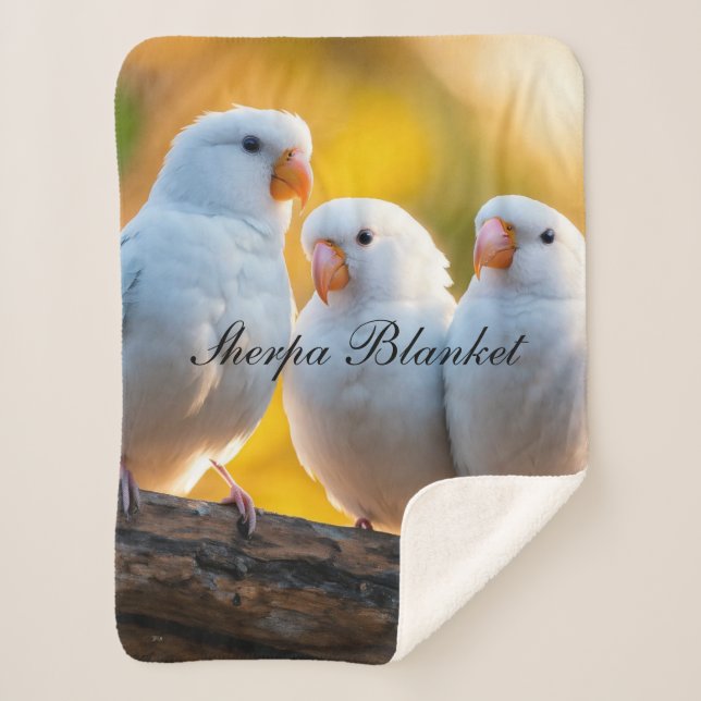 Sherpa Blanket (Front)