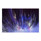 Sherri's summertime fun at the carwash