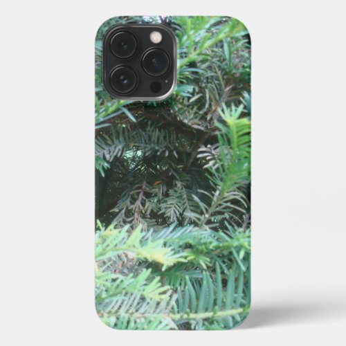 Sherwood Forest Yew Tree _ iPhone Case