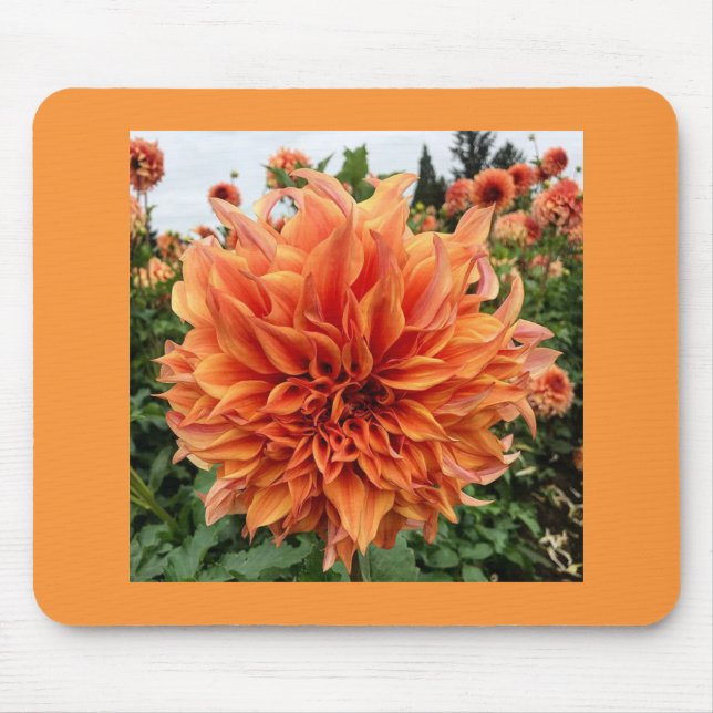 Sherwood's Peach Dahlia Mouse Pad (Front)