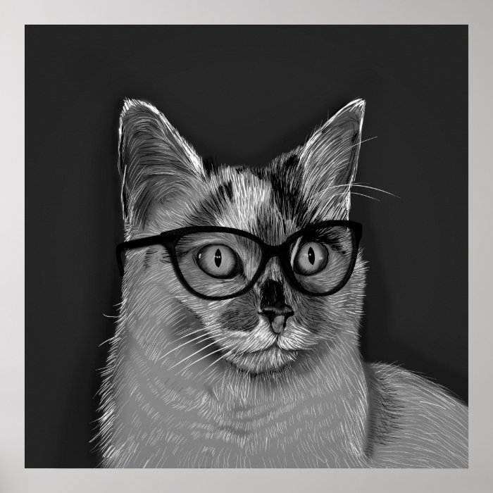 She s A Cool Cat Poster Art  Print Zazzle