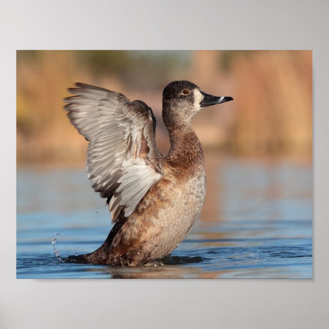 She's a Flapper Poster (Front)