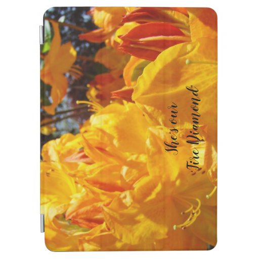 She's Our Fire Diamond Nature iPAD cover Rhodies