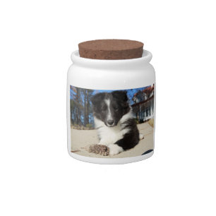 shet shp black and white puppy candy jar