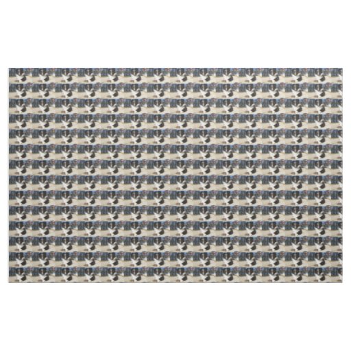 shet shp black and white puppy fabric