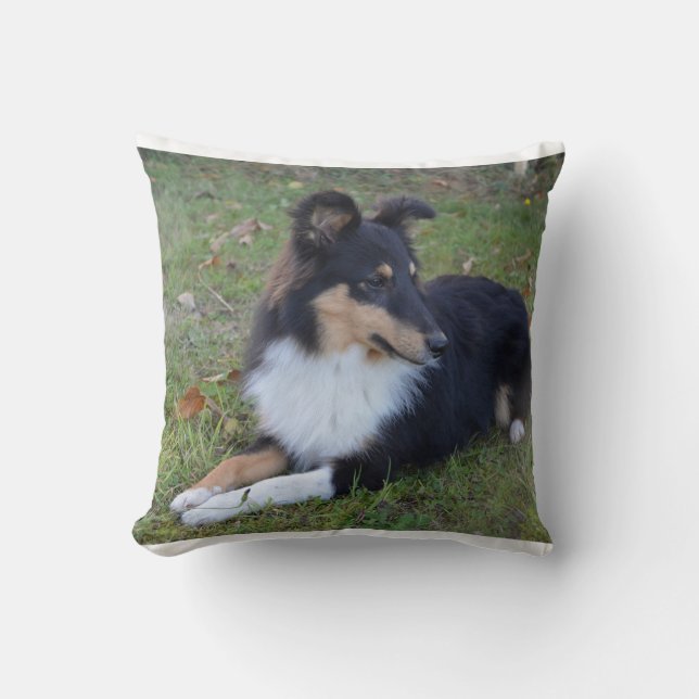 shet shp black white tan laying full throw pillow (Front)