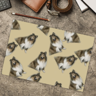 Shetland Collie Canine Companions 