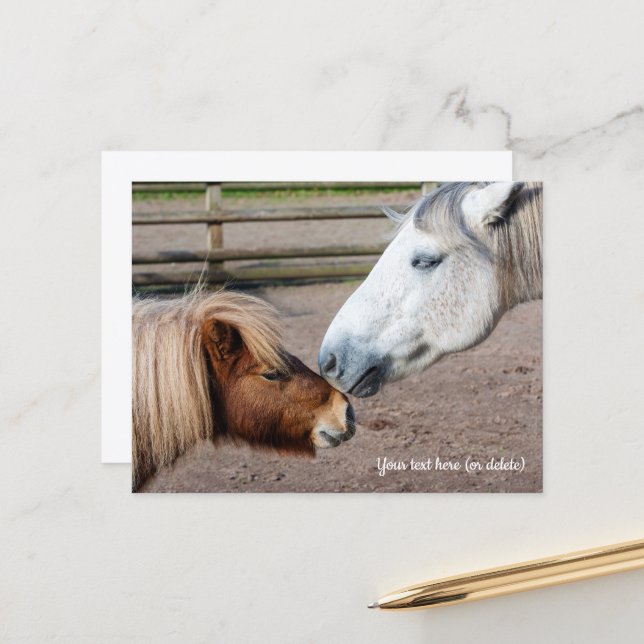 Shetland Pony and Highland Pony Postcard (Front/Back In Situ)
