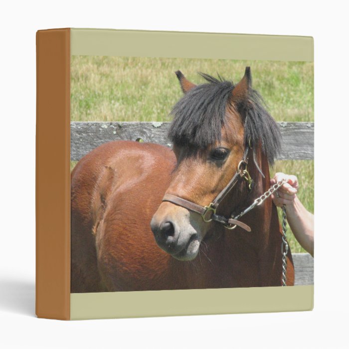 Shetland Pony Binder