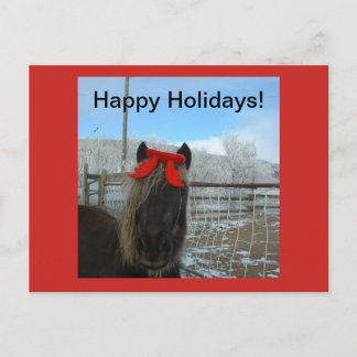 Shetland Pony Christmas Card
