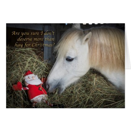 Shetland pony Christmas Card