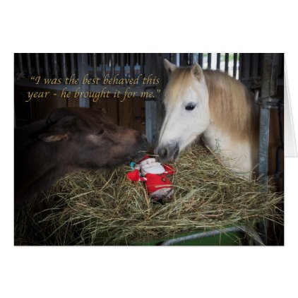 Shetland pony Christmas Card