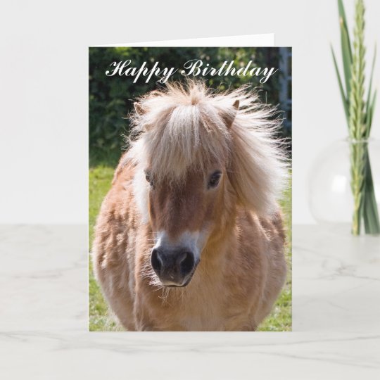 Shetland pony head birthday greeting card | Zazzle.com